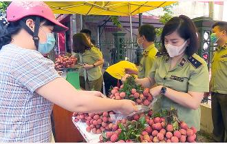 Yên Bái hỗ trợ tiêu thụ 12 tấn vải thiều Bắc Giang